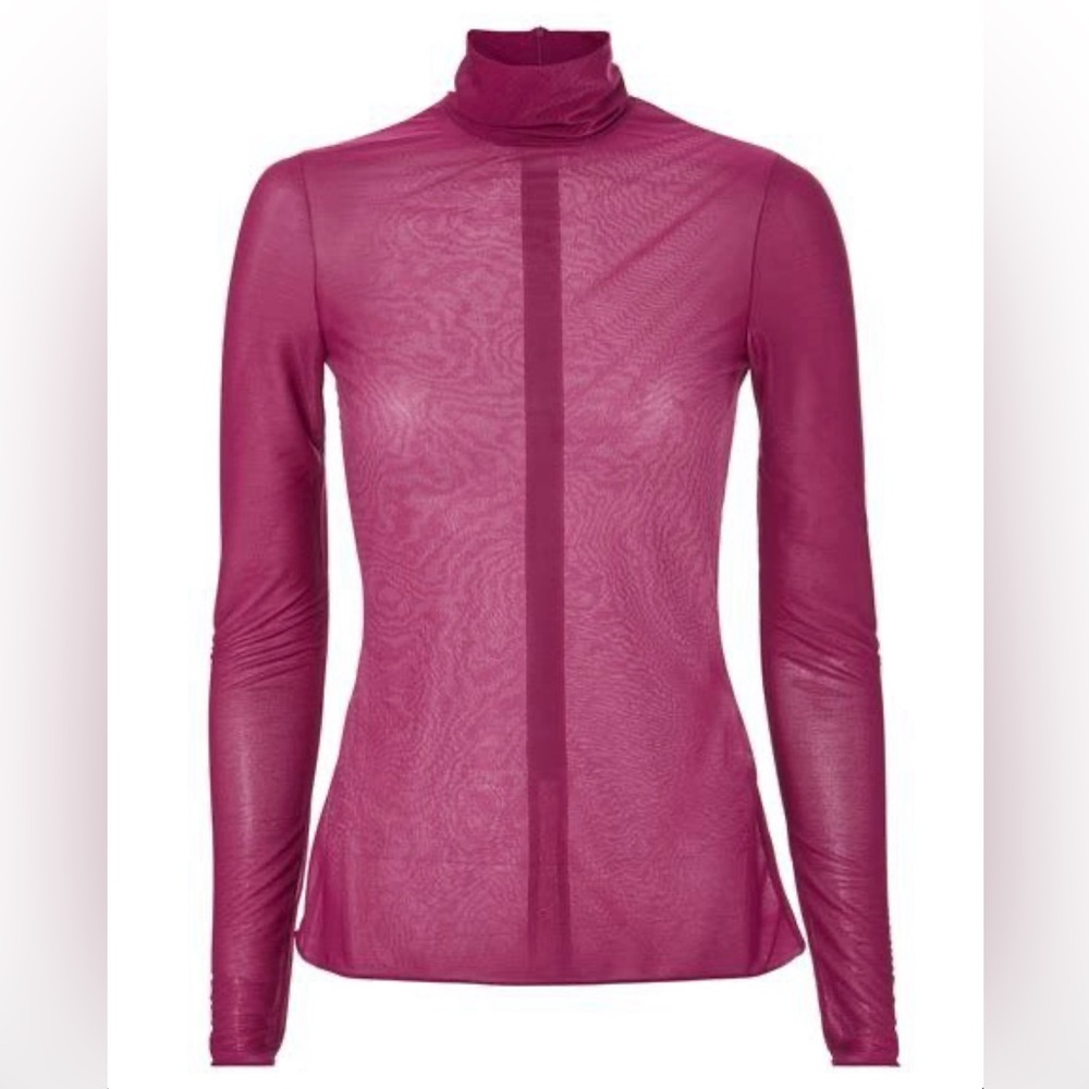 Victoria Beckham Semi-Sheer Turtleneck Top